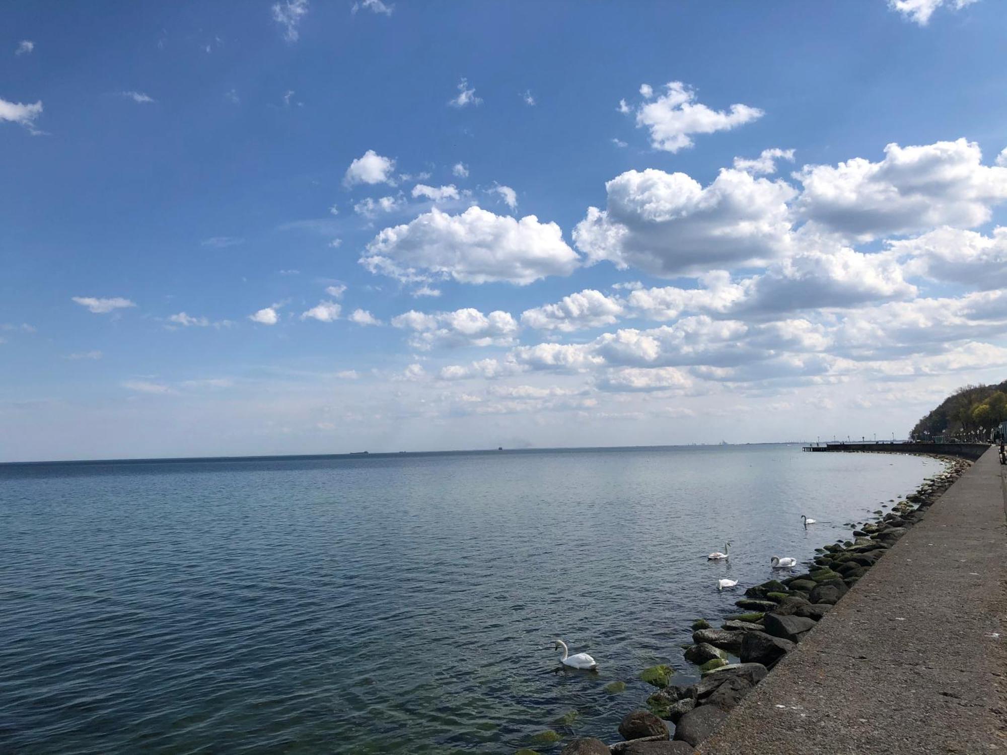 Апартаменты Gdynia Kamienna Gora Экстерьер фото